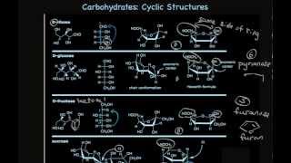 Cyclic Carbohydrate Structures Furanose and Pyranose Sugars [upl. by Odla]