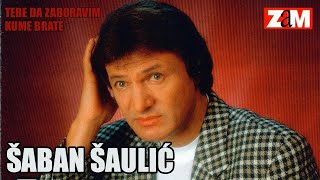 Saban Saulic  Njeno velicanstvo zena  Audio 1998 [upl. by Ackler455]