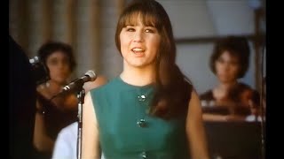 The Seekers  Georgy Girl 1967  Stereo [upl. by Ilrahs339]