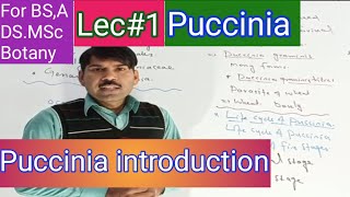 Introduction to puccinia [upl. by Lertram193]