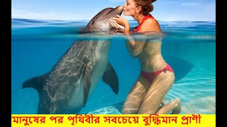 মানুষের পর পৃথিবীর সবচেয়ে বুদ্ধিমান প্রাণী  ডলফিন মাছের সার্কাস খেলাDolphin show [upl. by Prent]