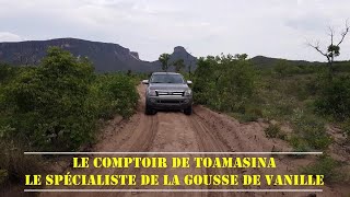 Gousses de vanille Madagascar Tahiti Papouasie Nouvelle Guinée Brésil Ouganda Vanille 2019 [upl. by Llerrud439]