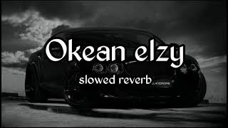 Okean elzy slowed reverb song viral trending [upl. by Wey]