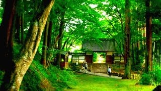 日本の風景 美しい平泉 ♪ 世界文化遺産 中尊寺全貌のご案内 [upl. by Ahnavas339]