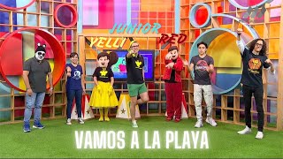 Sólo para Kids Vamos a la Playa en Bim Bam Bum [upl. by Alaehs]