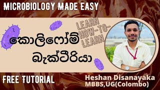 කොලිෆෝම් බැක්ටීරියා Coliform Bacteria  A level microbiology sinhala [upl. by Rosemarie]