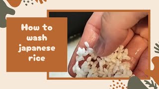 HOW TO WASH JAPANESE RICE PROPERLY japaneserice washingmethod japan [upl. by Oakes264]