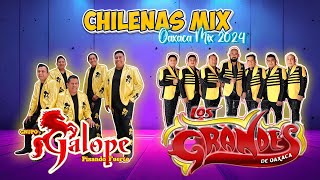 Grupo Galope ft Los Grandes De Oaxaca  Puras Chilenas De Oaxaca Mix  Chilenas Nuevas 2024 [upl. by Noral417]