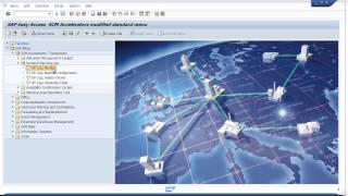 SAP APO Demand Planning Change Log Demo [upl. by Dnumyar]