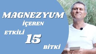 DOĞAL MAGNEZYUM NELERDE VARDIR I EN İYİ MAGNEZYUM İÇEREN BESİNLER [upl. by Nylesoy]