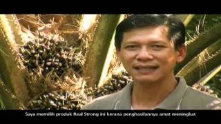 All Cosmos Industries RealStrong Television Commercial Bahasa Melayu [upl. by Einram]