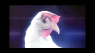 JGeco  Chicken Song JGeco espero que les guste❤️ canción completa [upl. by Attennod]