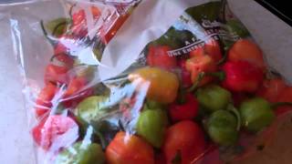 How To Store Hot Peppers For The Winter Without Losing Its Heat And Flavors [upl. by Ehman544]