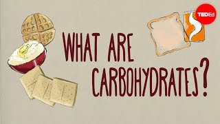 How do carbohydrates impact your health  Richard J Wood [upl. by Yeleek]