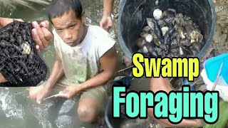 Part 1 COASTAL FORAGINGHorn Snail or Bagongon How to catch any kinds of shellfish Philippines [upl. by Harsho]