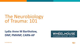 The Neurobiology of Trauma 101 24 [upl. by Itsa473]