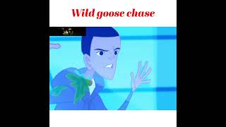 quotWILD GOOSE CHASE quot todays idiom [upl. by Leina]