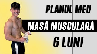 Planul Meu de Masă Musculară Structurat pe 6 Luni  Pas cu Pas [upl. by Middendorf926]