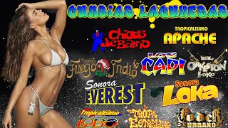 ⚡ Cumbias Laguneras 💃🕺 Tropicalisimo Apache  Chicos de Barrio  Los Capi  El Orkeston Loko ⚡💃🕺 [upl. by Goat]