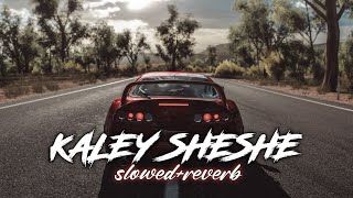 Kaley Sheshe Addy Nagar Slowed Reverb [upl. by Taddeo]