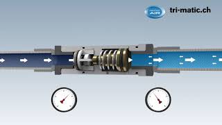 Funktion Druckminderer für Druckluft Werkzeuge und Automation ToolReg® [upl. by Bohannon]