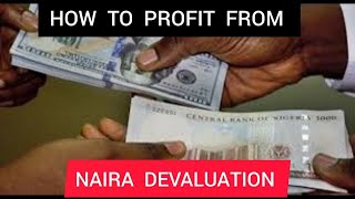 HOW TO PROFIT FROM NAIRA DEVALUATION [upl. by Meingoldas579]