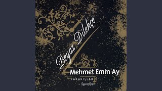 Şu Benim Divane Gönlüm [upl. by Edrahs]