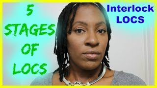 The 5 stages of Locs INTERLOCKS [upl. by Airtemed727]