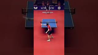 Table Tennis Legend Is Timo Boll 🏆 tabletennis tennis pingpong tennisdetable tennisdemesa [upl. by Crawley175]