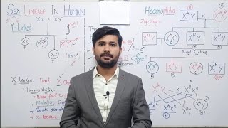 2215 Hemophilia and its causes  x and y linkage in human  Sex linkage in Human Biology Class 12 [upl. by Favien523]