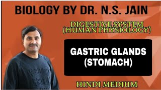 Gastric GlandsStomach Digestive System Human Physiology  Hindi Medium [upl. by Keelin]