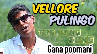 Vellore Pasanga daa  Vellore Gana Song  Gana Poomani [upl. by Deborah]