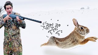 Rabbit Hunting with AIR SHOTGUN [upl. by Burkhard]