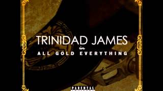 Trinidad James  All Gold Everything Acapella  100 BPM [upl. by Blackington]