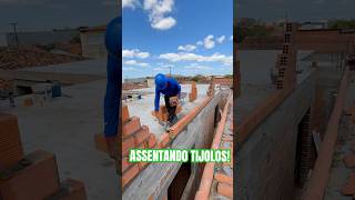 ASSENTANDO TIJOLOS obra construção reforma pedreiro fyp [upl. by Katharina77]