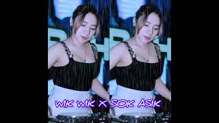 DJ WIK WIKXSOK ASIKFYP DAMI SEOLY REMIX NEW 2024🌴 [upl. by Sayce]