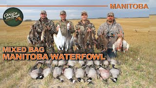 Waterfowl Dream Hunt in Manitoba  Canada in the Rough [upl. by Lane132]