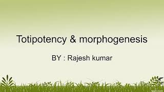 Totipotency and morphogenesis information [upl. by Ailahk7]