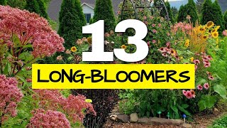 These are the Longest Blooming Perennials in my Garden I Tracked Them All Year [upl. by Eikram]