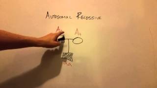 Autosomal Recessive Inheritance [upl. by Kajdan]