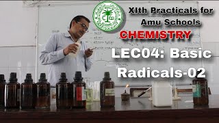 Amu practicals ChemistrySalt Analysis LEC04 For Amu Schools [upl. by Patrick]