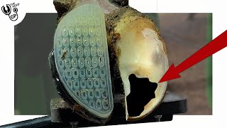 the PUNCTURE in this COWs HOOF caused incredible pain [upl. by Aimak145]