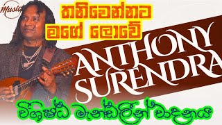 තනි වෙන්නට මගෙ ලොවේ Mandolin  Anthony Surendra Mandolin playing  Thani wennata mage lowe [upl. by Oicnevuj]