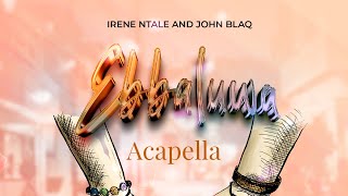 Ebbaluwa  Irene NTALE Ft John Blaq  Acapella Vocals [upl. by Nwahsel]