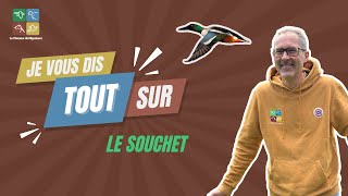 Je vous dis tout sur le CANARD SOUCHET [upl. by Moe]