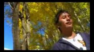 Tibetan Song Tenzin Yulo [upl. by Asirap513]