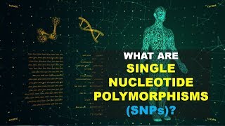 SNPs Single Nucleotide Polymorphism0 Better Explained [upl. by Ibloc785]