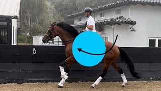 How to SIT and MOVE with your horse [upl. by Maillw]