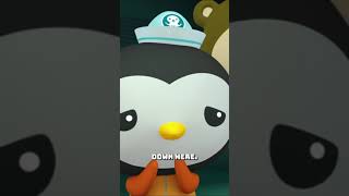 ​Octonauts  Entering the Midnight Zone 🌑  Underwater Sea Education  shorts midnightzone [upl. by York]