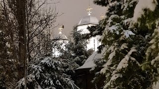 Flori dalbe flori  Mănăstirea Radu Vodă [upl. by Myca656]